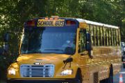  Bus on road 